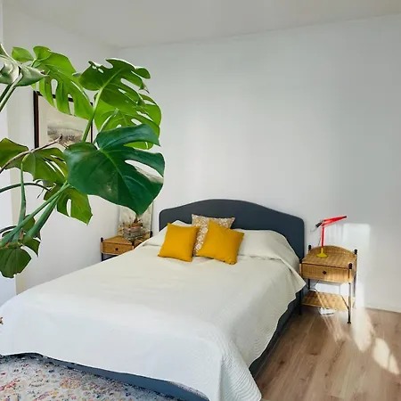Spacious With Garden Apartment The Hague